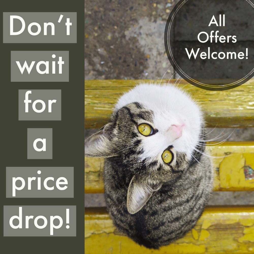 🌺🌺 All Offers Welcome 🌺🌺